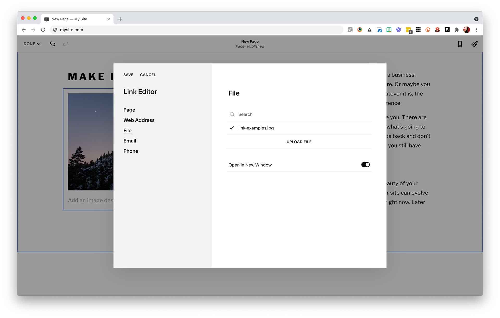 Link Editor