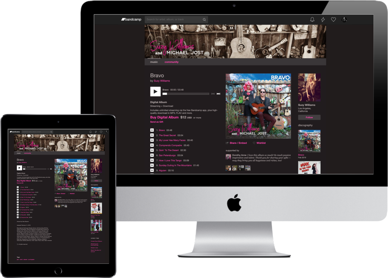 Suzy Williams + Michael Jost: Bandcamp design by accurate expressions