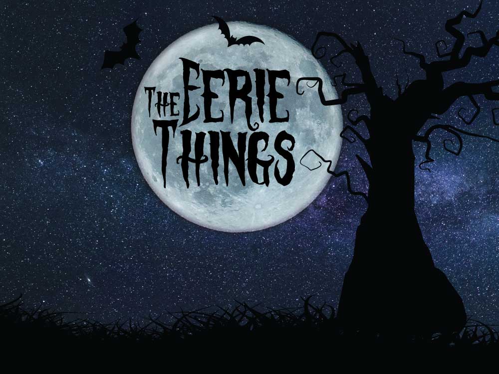 The Eerie Things | banner design by accurate expressions