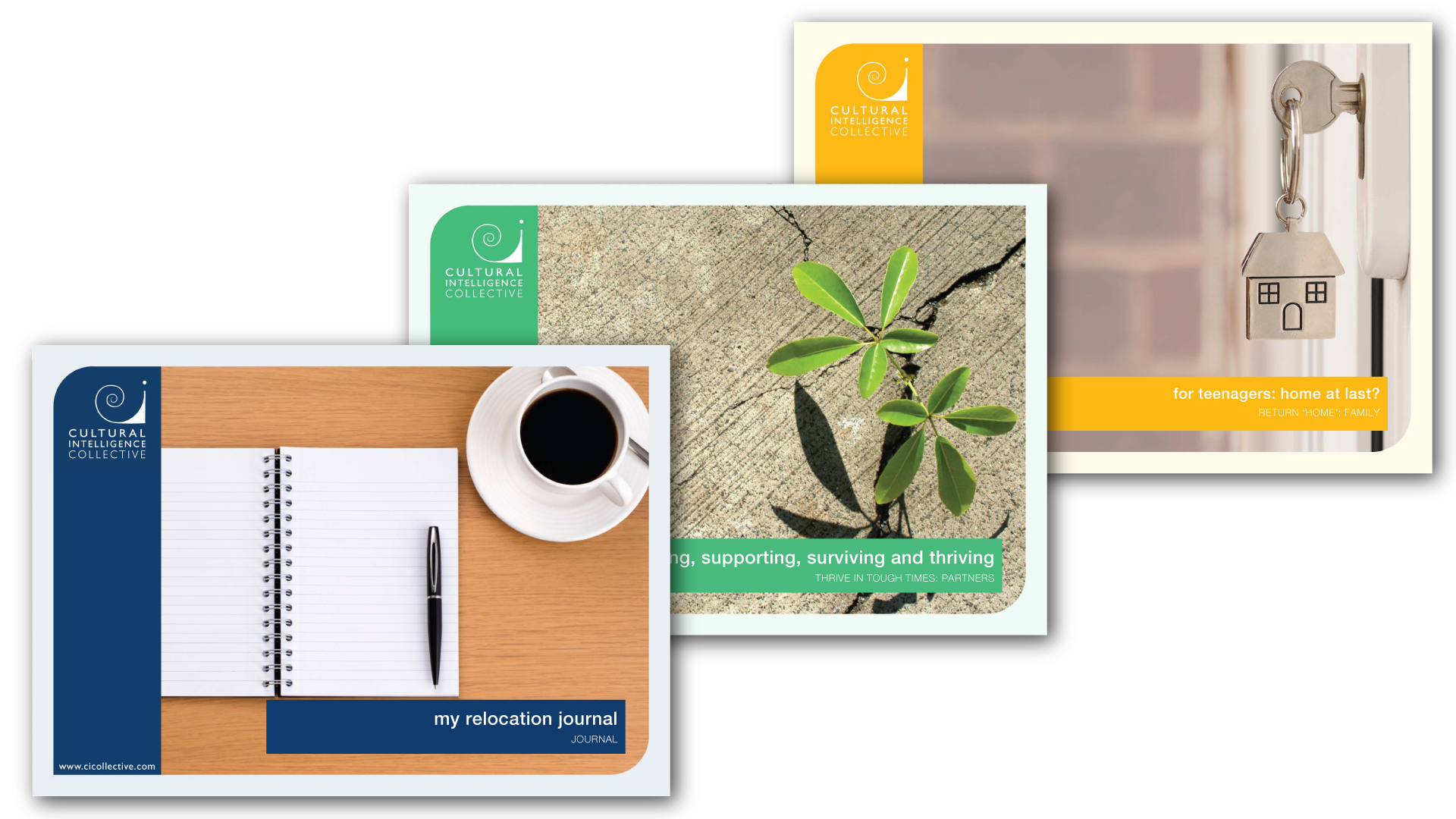 CI Collective eBooks | design by accurate expressions